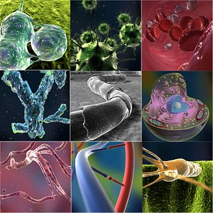 micro biological dna max
