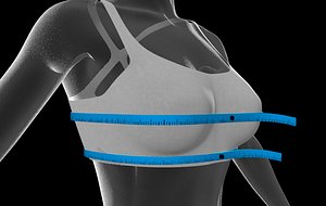 bra size