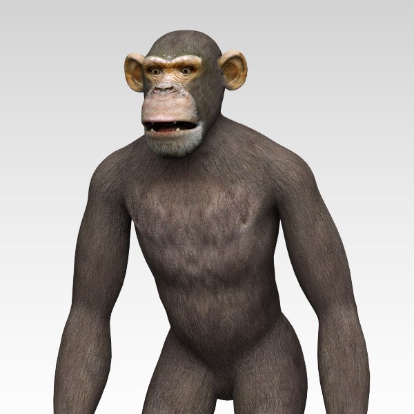 3d 3ds Chimpanzee