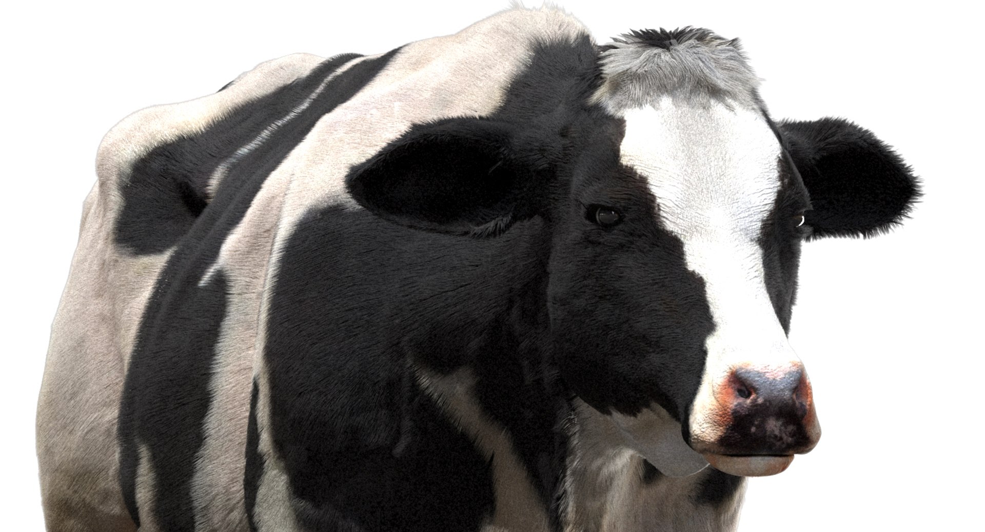 cow dairycow dairy 3D model https://p.turbosquid.com/ts-thumb/NB/ZZEcM3/77e4oUUR/09/jpg/1553478279/1920x1080/fit_q87/22fb61673adfd46843d9dbbf6a766bf219dca376/09.jpg
