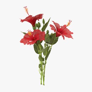 hibiscus bouquet - 3d model