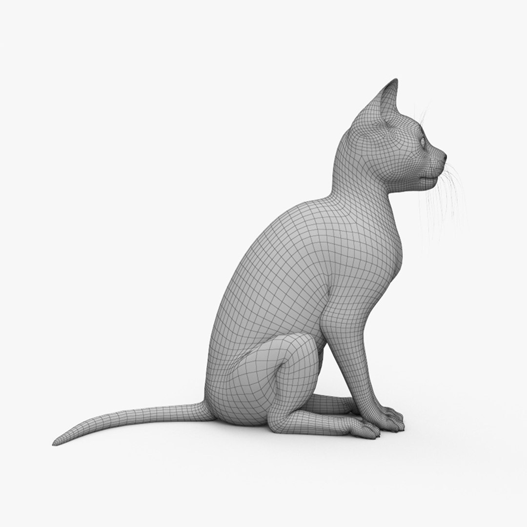 Chat Sits