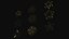 Icone di stelle diverse