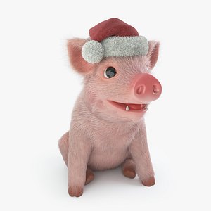 Piggy