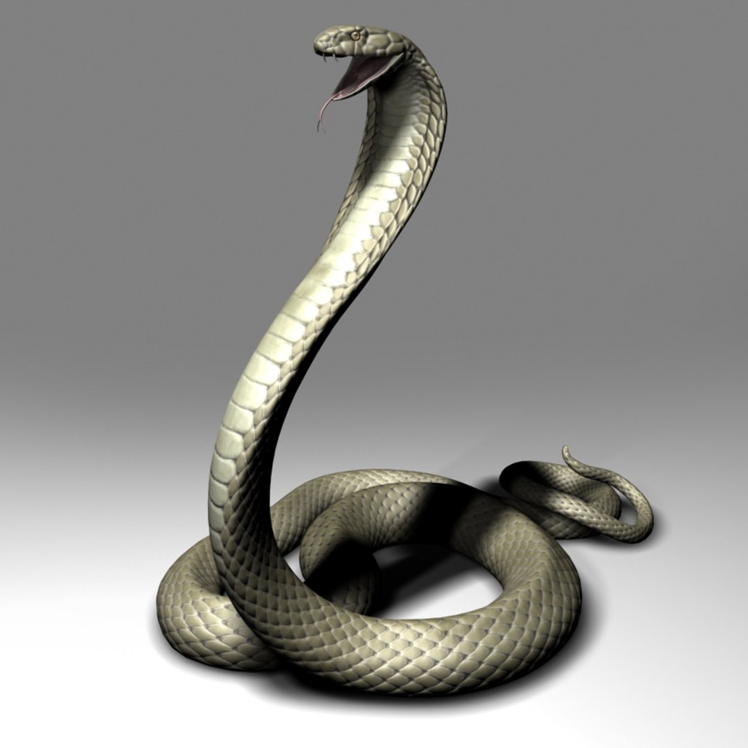 King Cobra 3d Max