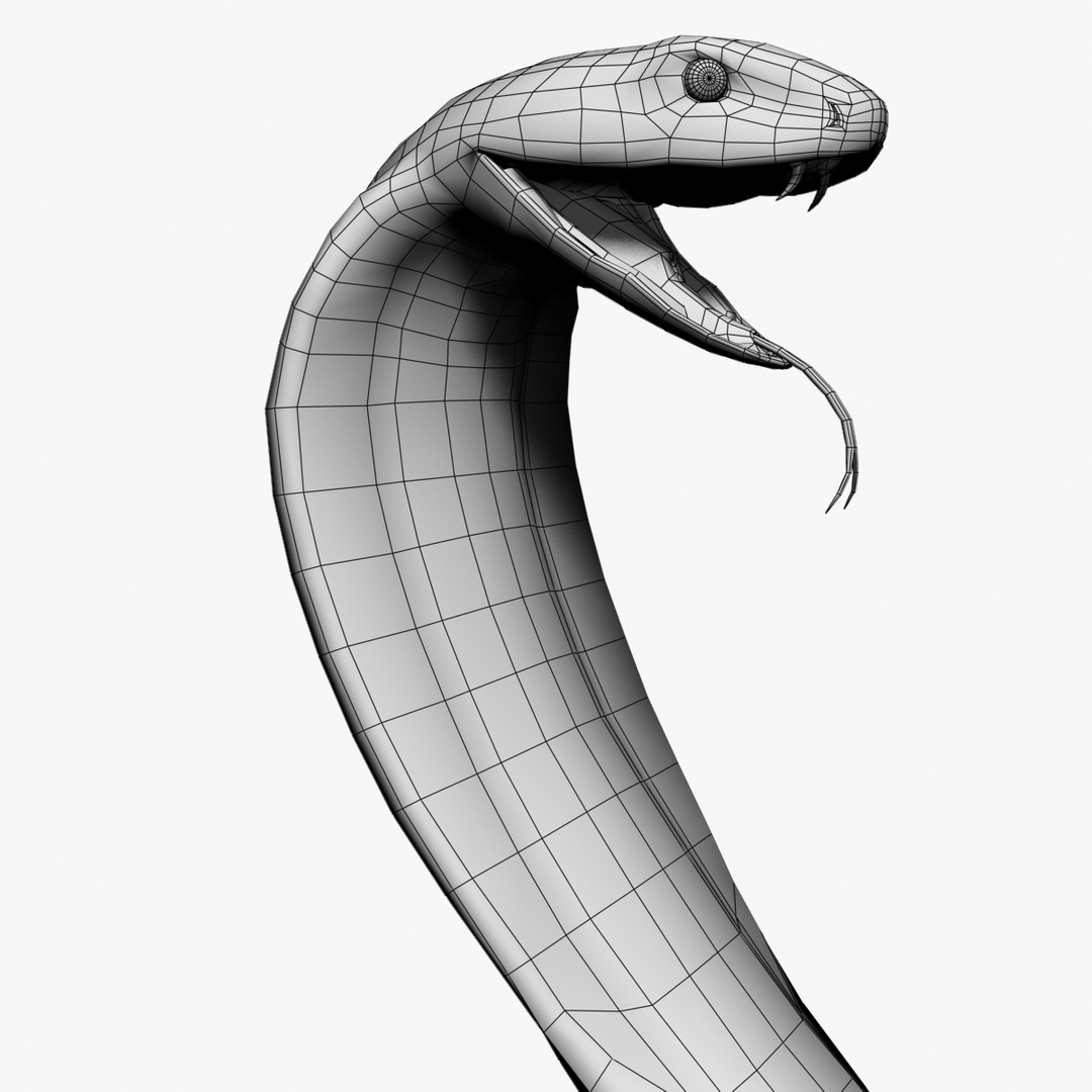 COBRA DOWNLOAD COBRA 3d model animated for  blender-fbx-unity-maya-unreal-c4d-3ds max - 3D printing SNAKE COBRA SNAKE