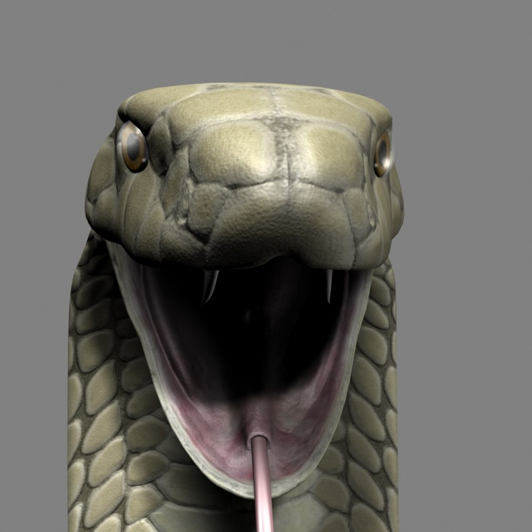 King Cobra 3d Max