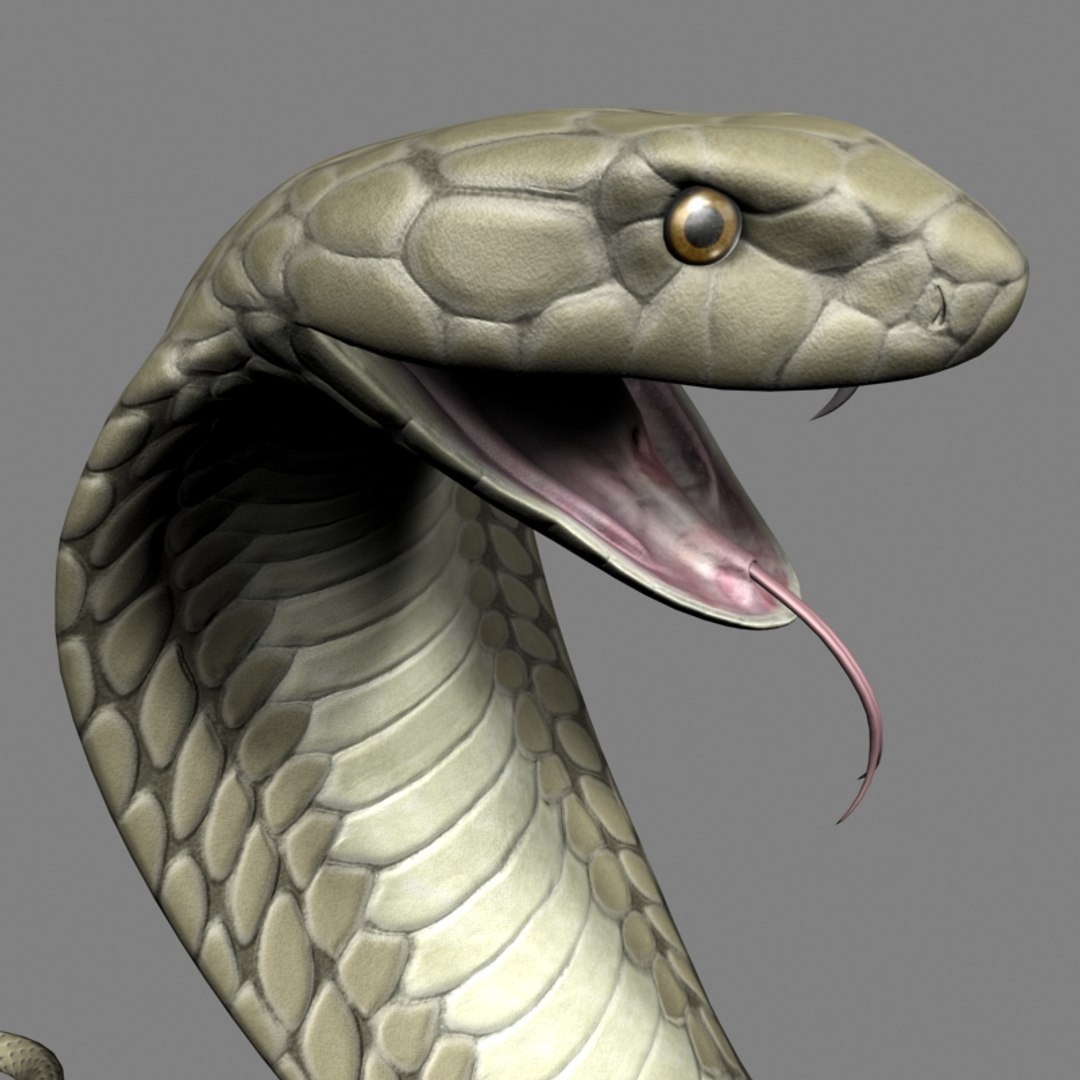 King Cobra 3d Max