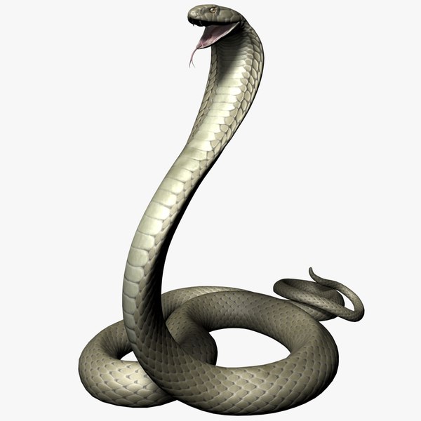 3d model king cobra