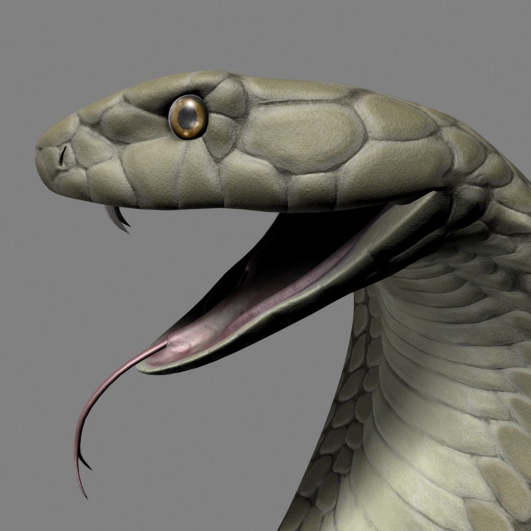 King Cobra 3d Max