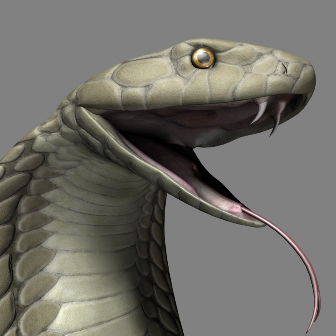 King Cobra 3d Max