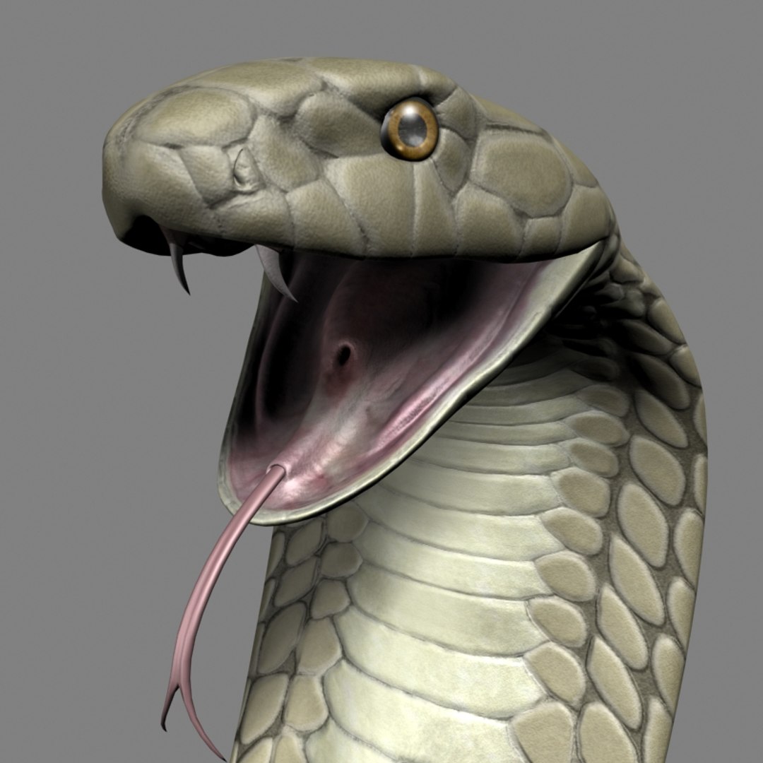 King Cobra 3d Max