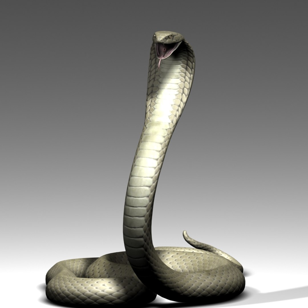 King Cobra 3d Max