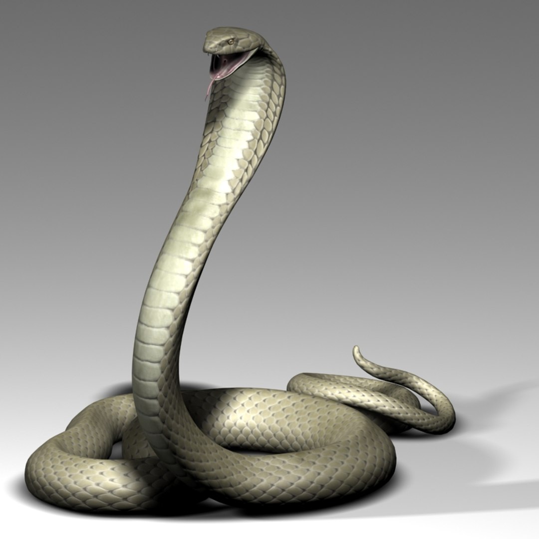 King Cobra 3d Max