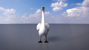 SwanBirdRigged 3D