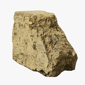Scanned Brick 03 StemCell