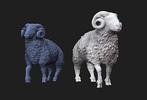 ramsheep