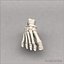 Human foot skeleton
