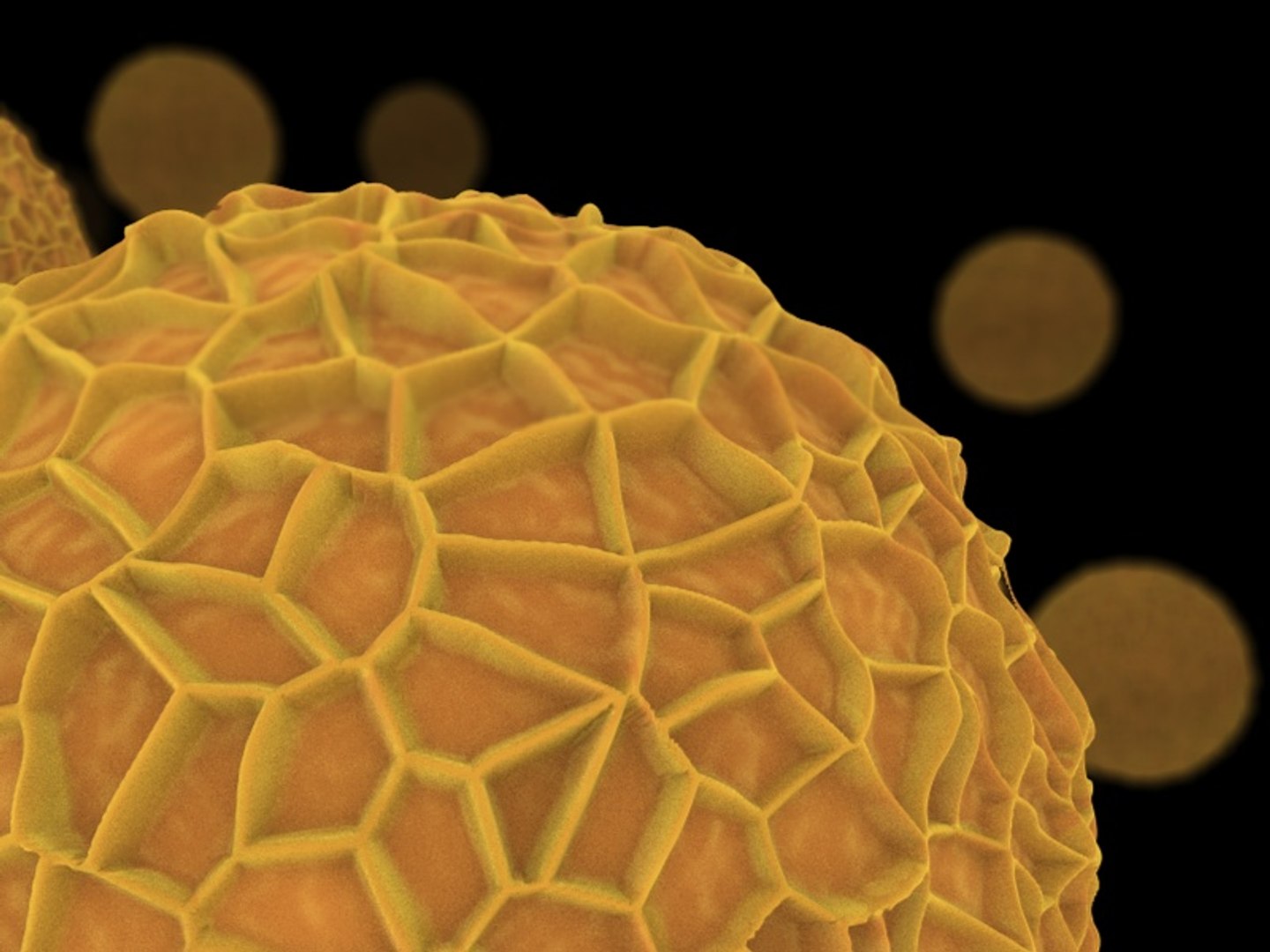 cinema4d pollen https://p.turbosquid.com/ts-thumb/NC/YJsTm4/1MTJlWTI/pollen3/jpg/1339714784/1920x1080/fit_q87/cae721fc1f0ae3030bd6c80a33242e6d85f125ea/pollen3.jpg