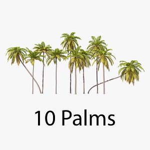 Palms 01-10 with LODs collection