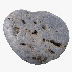3D Sea Shore Stone 23