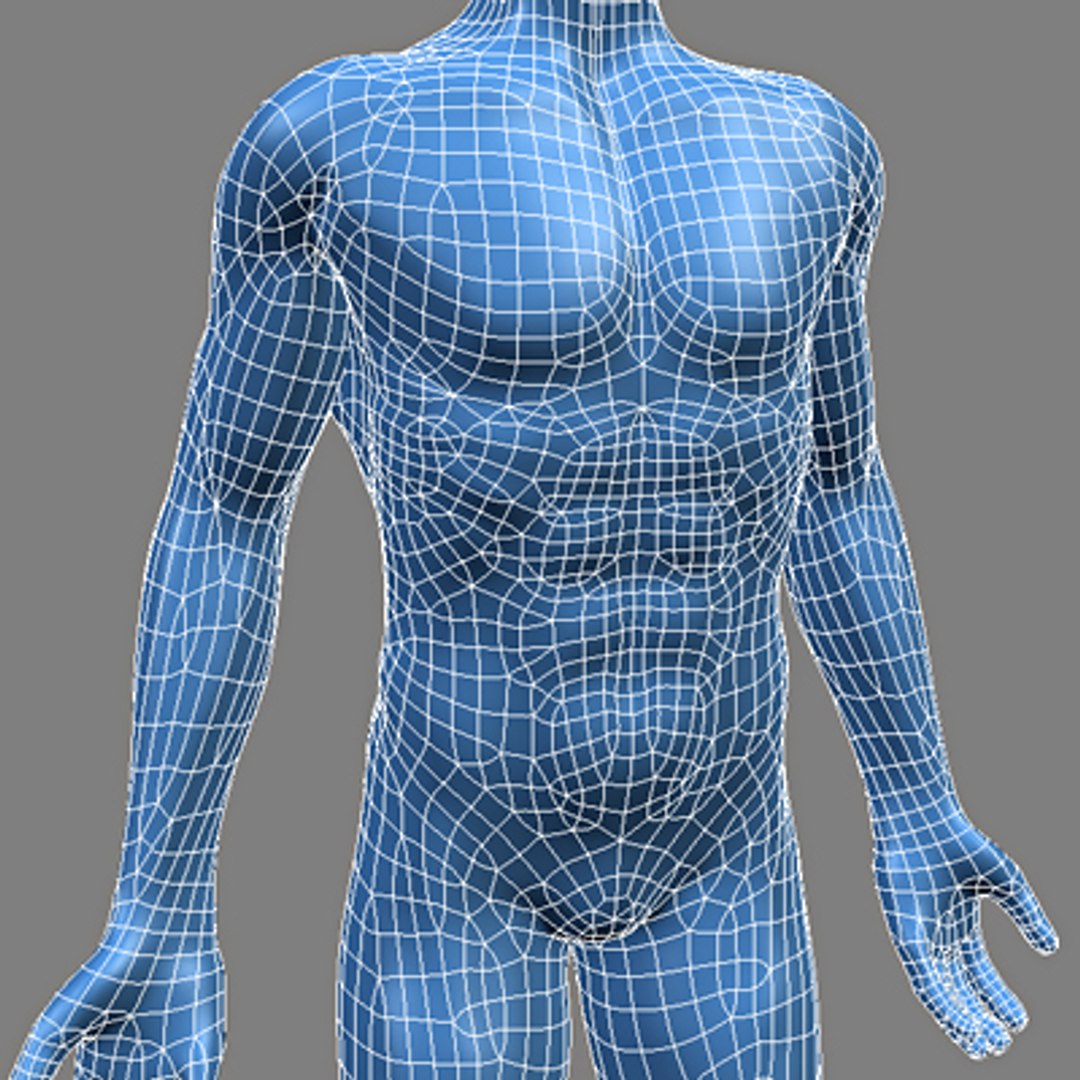 cardiovascular human organ 3d model https://p.turbosquid.com/ts-thumb/NC/xHeHvF/MUlQyJ4C/anatomy_j/jpg/1279609177/1920x1080/fit_q87/4f1f5984617d3ad191434a3bd0978d85b06e6cf1/anatomy_j.jpg