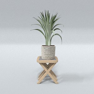 laos Deco Flower 3D model