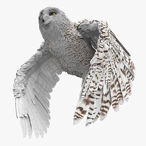 3D Wild Snowy Owl Flying Animated Rigged For Blender model