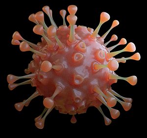 3D Virus model