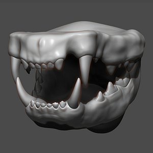 3D Cat Mouth ZBrush Sculpt model