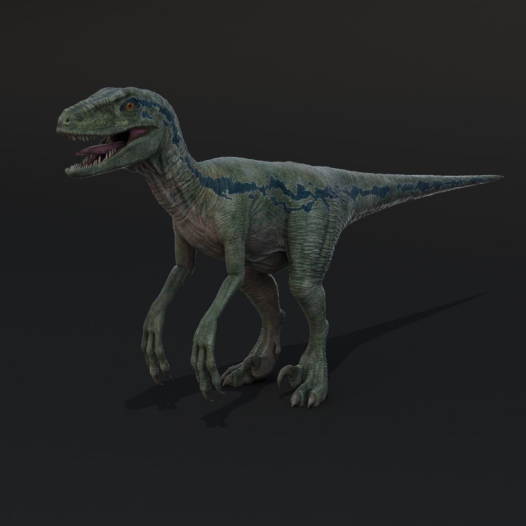 Velociraptor Zbrush Raptor 3d Obj