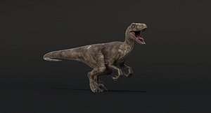 velociraptor zbrush raptor 3d obj