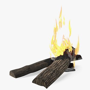 3D Burning Wooden Logs