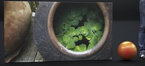 CANVAS PRINT TITLE THAI WATER LILLY