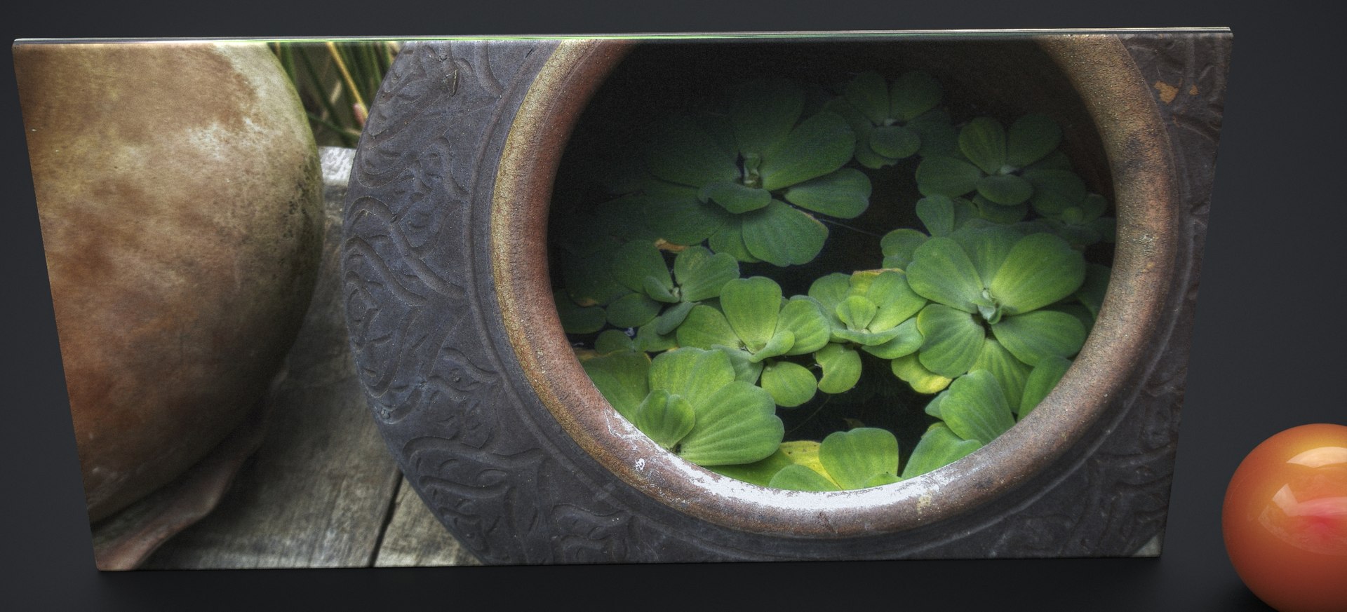 CANVAS PRINT TITLE THAI WATER LILLY 3D model https://p.turbosquid.com/ts-thumb/ND/mrZhGq/NY/4dhomedecorc0112024img003/jpg/1742568563/1920x1080/fit_q87/0ba201f092d4f1ea7423f0c8c9cb0cf1187b99f9/4dhomedecorc0112024img003.jpg