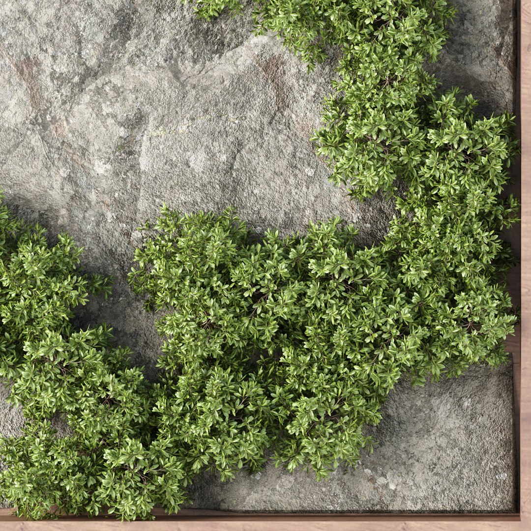 3D Vertical Rock Garden Vol 133 - TurboSquid 1981425