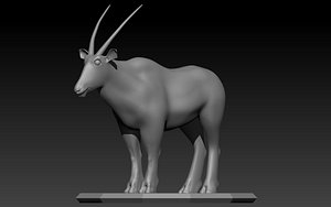Gemsbok Stl 3D model