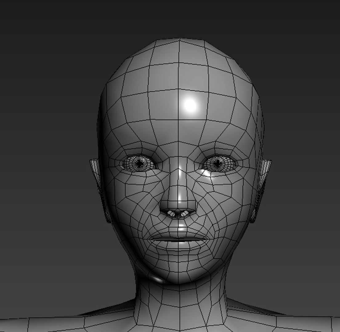 3d Model Polygons Male Base Mesh