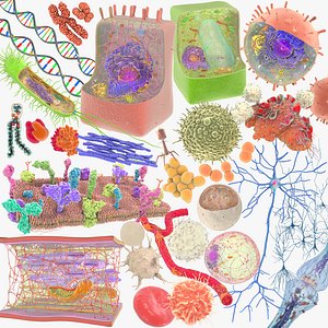 Microbiology Cell Collection