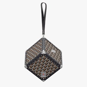 GOYARD De Trunk Bag 2