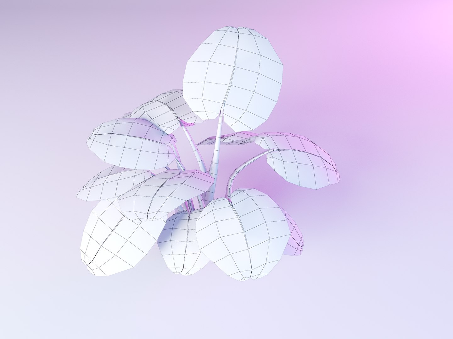 deliciosa monstera 3D model https://p.turbosquid.com/ts-thumb/NE/JC5OYG/KKnQsvjN/monsteradeliciosa_002/jpg/1551535329/1920x1080/fit_q87/97e25da07fd0ad805a6cb0b0d123c0e96395047c/monsteradeliciosa_002.jpg