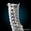human spine 3d xsi
