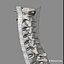 human spine 3d xsi