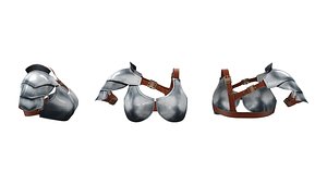 Metal Bra and Shoulder Shield 3D model