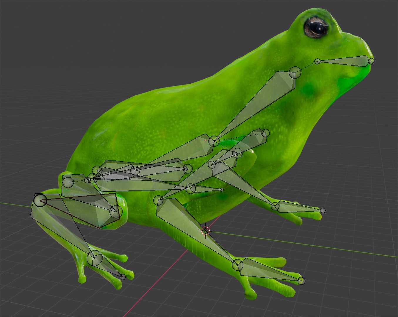 3D Frog Animations Model - TurboSquid 1442983