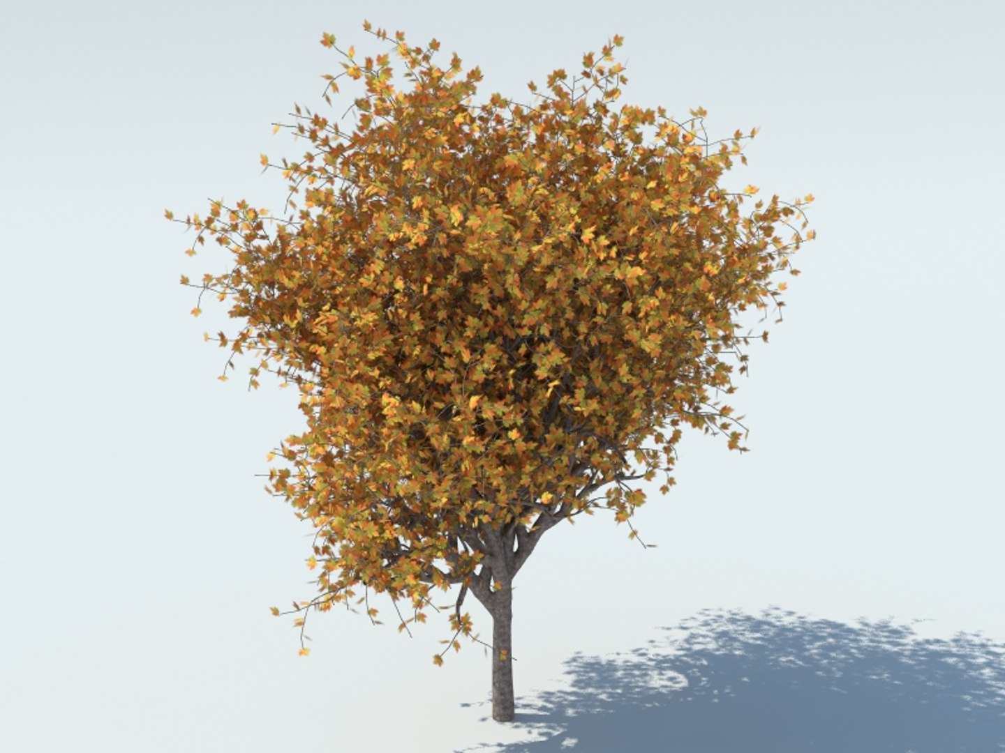3d model realistic maple tree https://p.turbosquid.com/ts-thumb/NE/fK4v6O/dsWykUWT/5r/jpg/1426177105/1920x1080/fit_q87/285c08649a721c4e2e3f0a25c825c6ca43ed3e19/5r.jpg