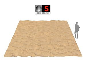 dune beach ground 16k 3D model