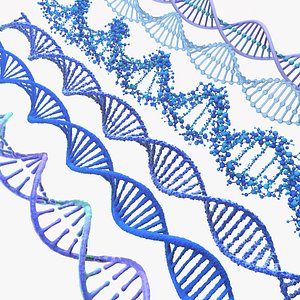 DNA