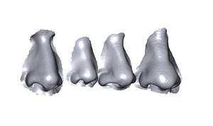 scans noses 3D model