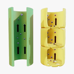 3D Xylem and Phloem Anatomy model